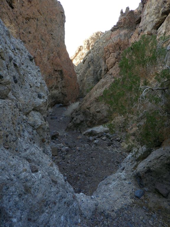 Looking back down the canyon at colorful walls and greenery from trees growing in the narrows: