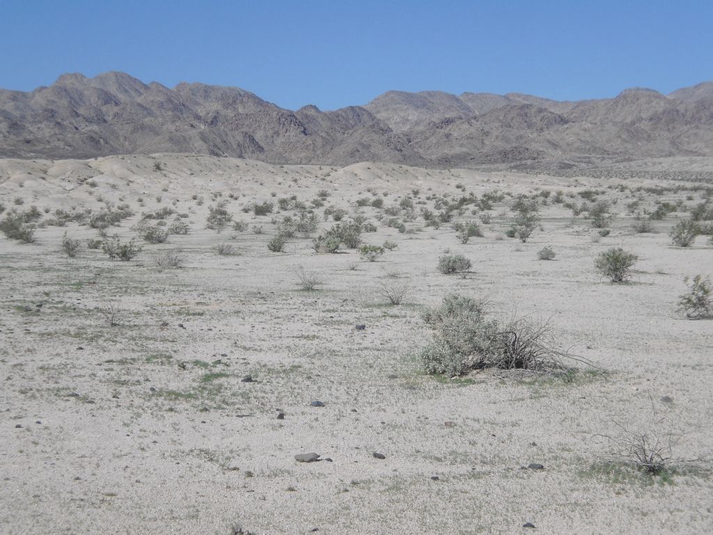 It's fairly difficult to figure out exactly where to hike to at the start.  One of the keys is to head towards the ridge north of the Sand Canyon wash, as marked on the map.  The ridge (or small hillside) stretches out a long ways down so it is easy to spot.  You can barely see it on the far right of this picture: