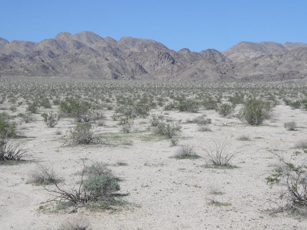 The entrance to Sand Canyon is straight ahead almost, but the terrain is too difficult to head straight for it.  You have to circle around to the right:
