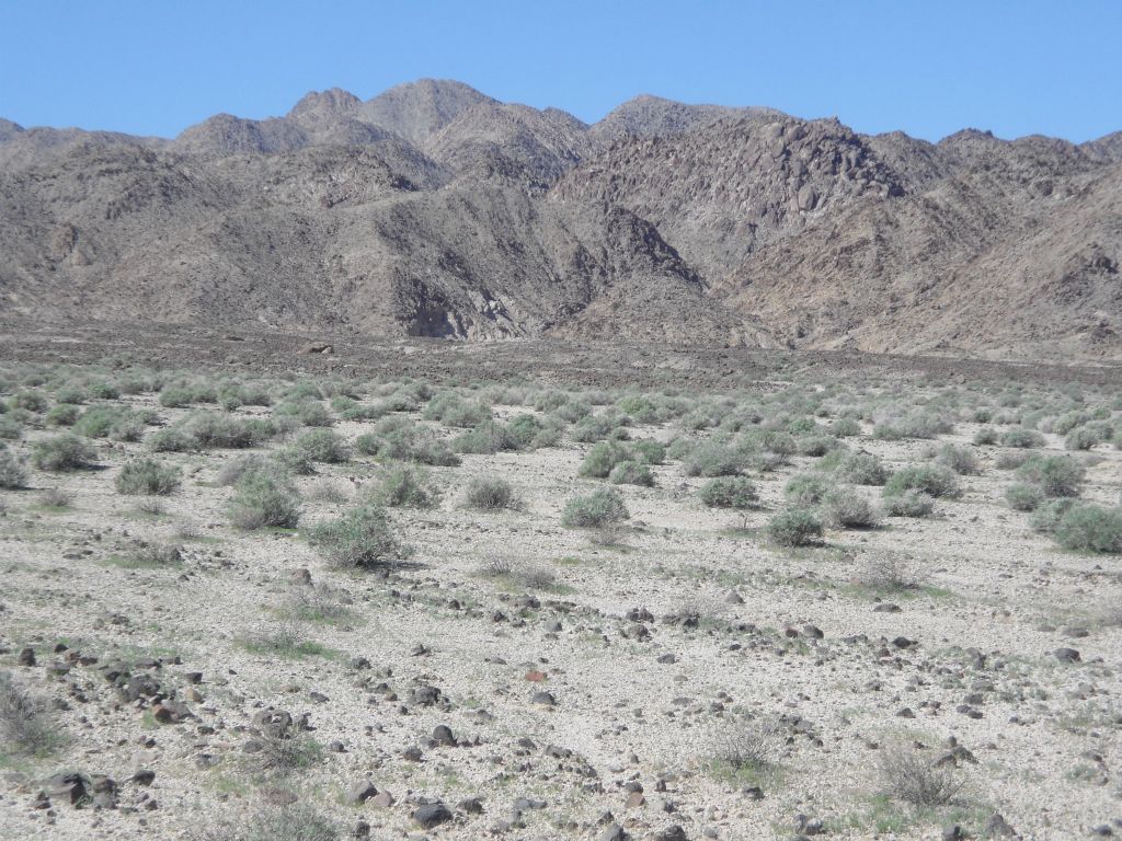Looking straight across at the canyon entrance.  At this point, I circled around to the right: