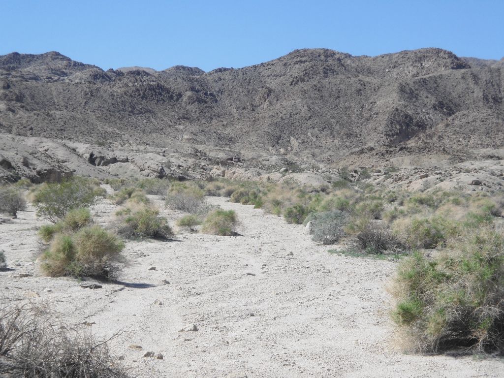 Now in the main wash of the canyon, which runs parallel to the ridge I was talking about earlier: