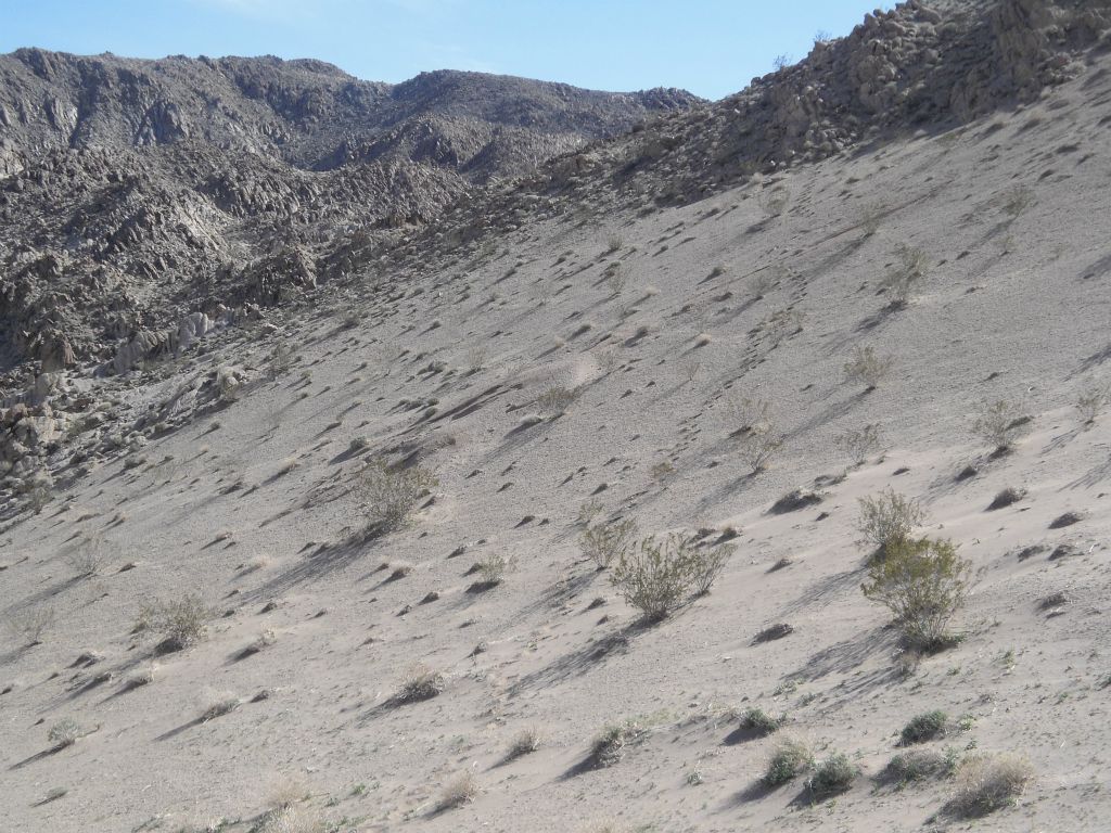 Look closely down the middle of the picture and you can see my footprints in the sand as I walked over to upper dune: