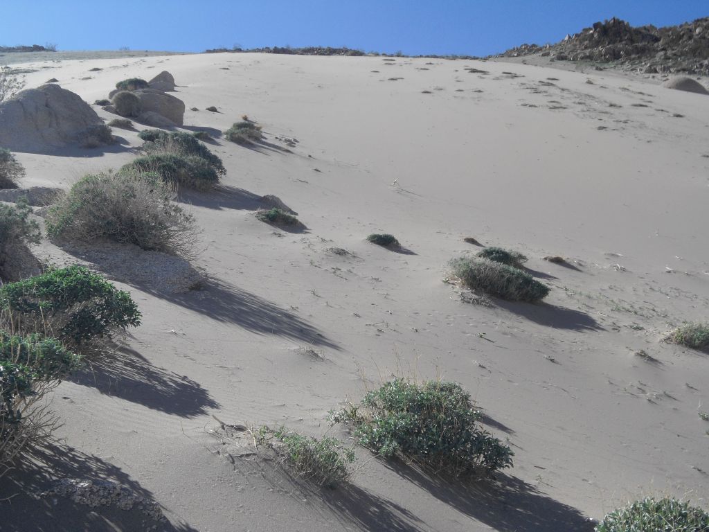 The pristine upper dune of Sand Canyon in all its glory: