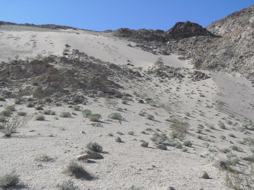 Looking back at upper dune as I prepared for the hike back out of Sand Canyon: