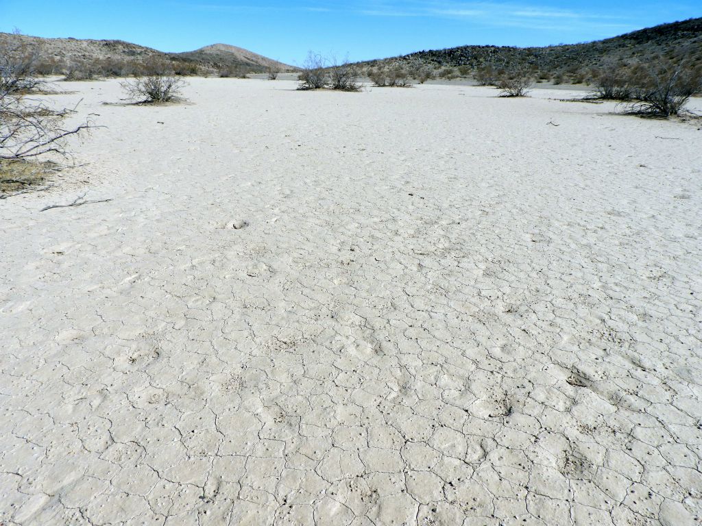 Walking along the cracked mud surface of the dry lake: