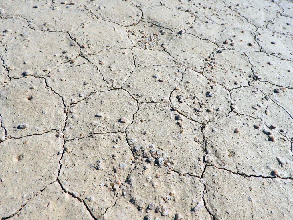 Taking a closer look at the mud crack patterns on the dry lake: