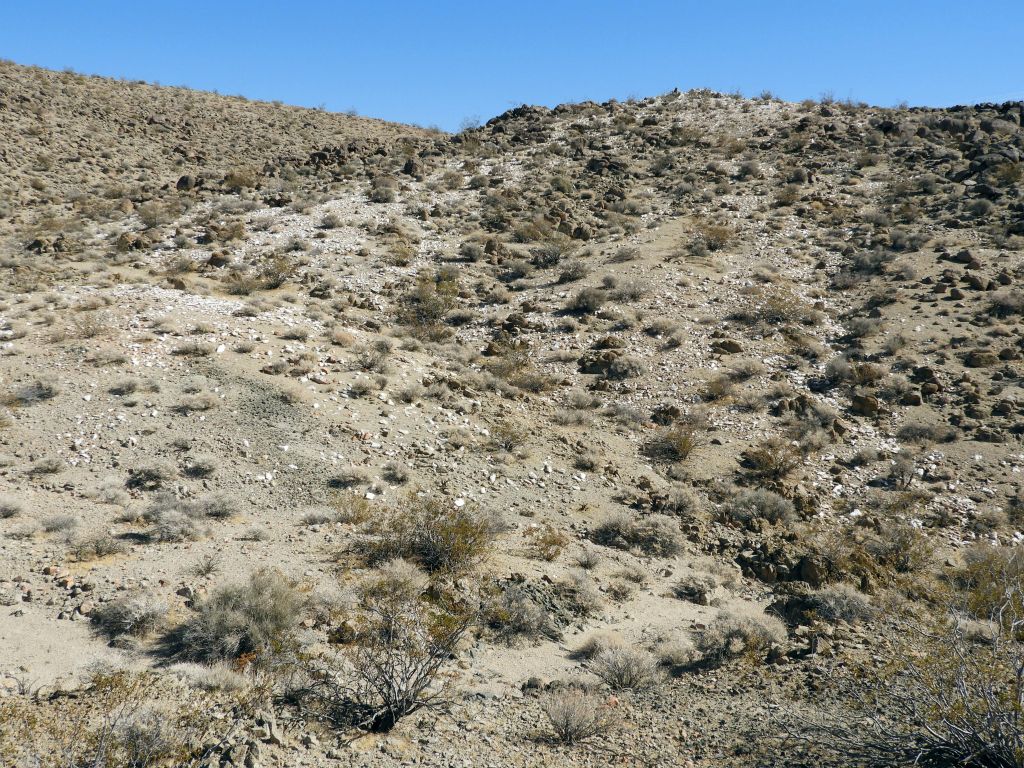 At the bottom of the small valley, we found a hillside covered with quartz, which made sense because South Quartz Canyon is the next major canyon to the north: