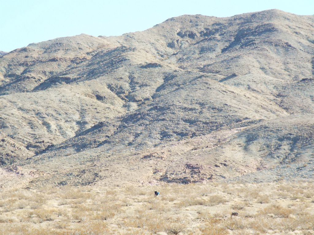 We split up into two groups in order to increase the chances of finding something interesting along the western Owlsheads.  Tobin and Debbie can be seen here hiking closer to the range: