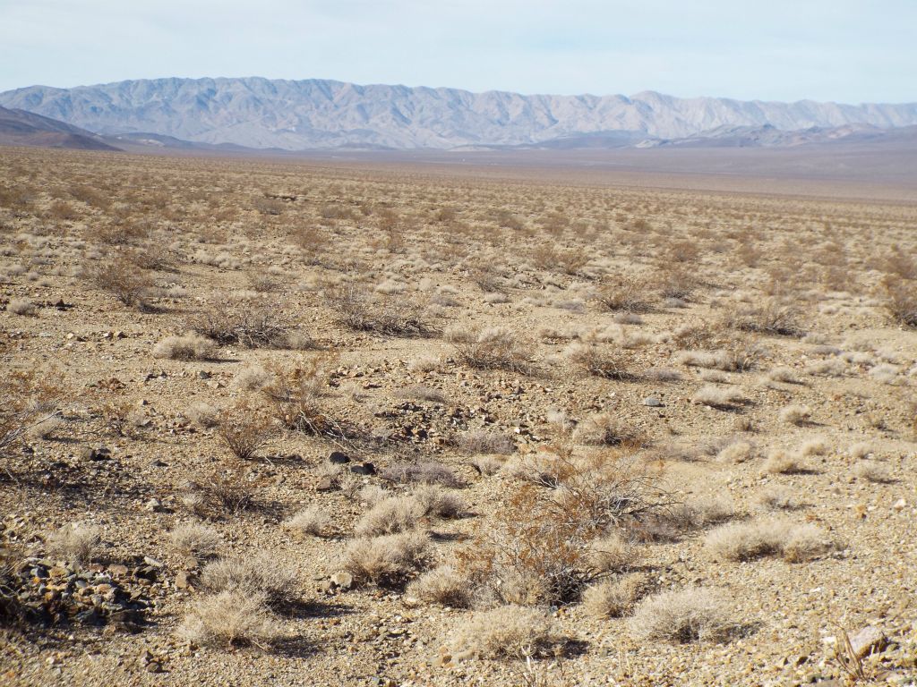 View looking to the west toward the Slate Range: