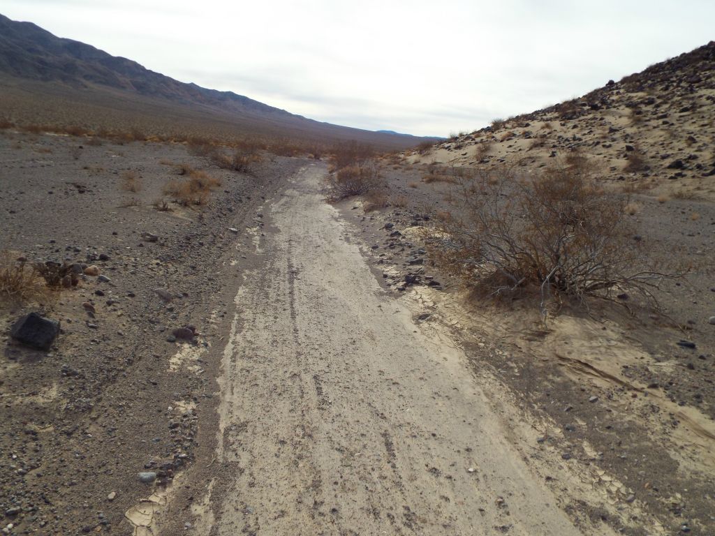 Looking back, the old road is clearly discernable in the midst of the desert scenery: