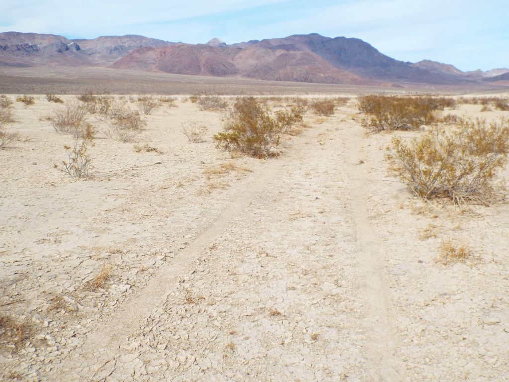 The tracks of the old road lead straight out onto Wingate Dry Lake: