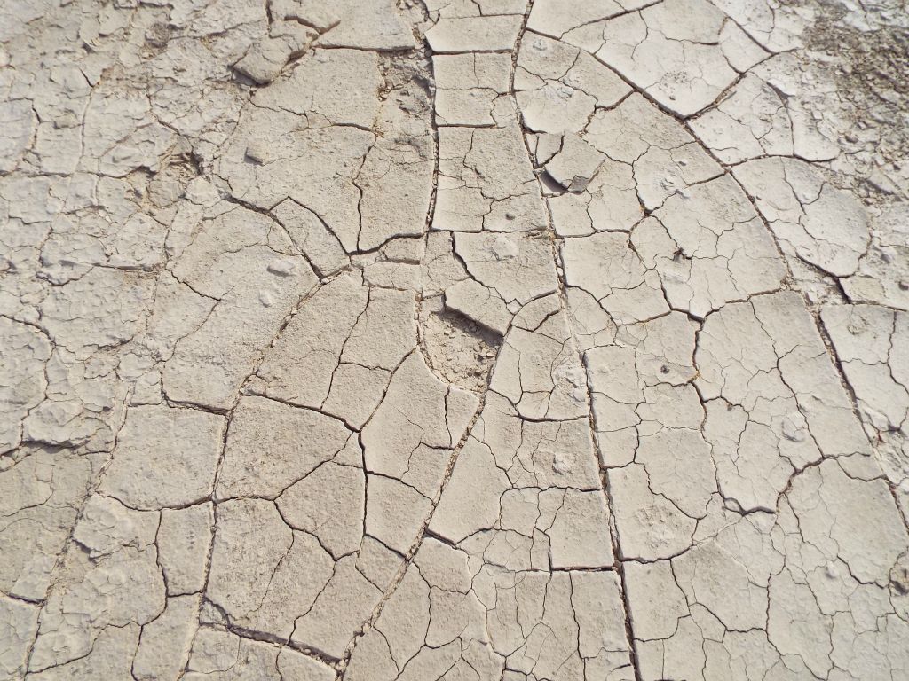 Dried and cracked mud on the lake bed playa: