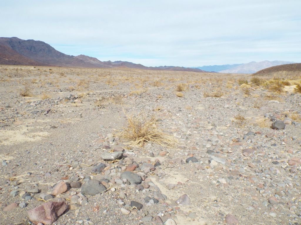 The terrain soon turned back to dirt and gravel as we left Wingate Dry Lake behind: