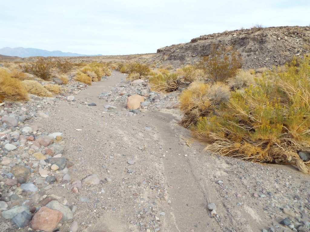 We still had another 9 miles of hiking to do after the lake.  This photo was taken about 1 mile past the lake: