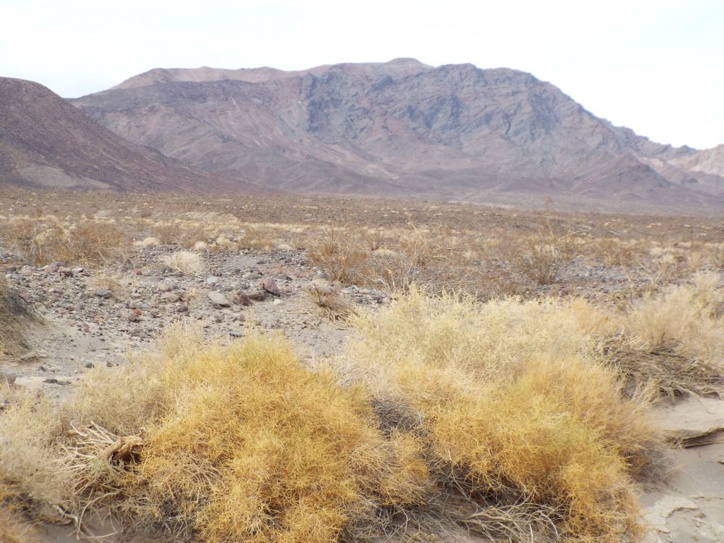 The upper part of Wingate Wash was a true wash with hardly any canyon walls for a couple of miles once we got past the battle site: