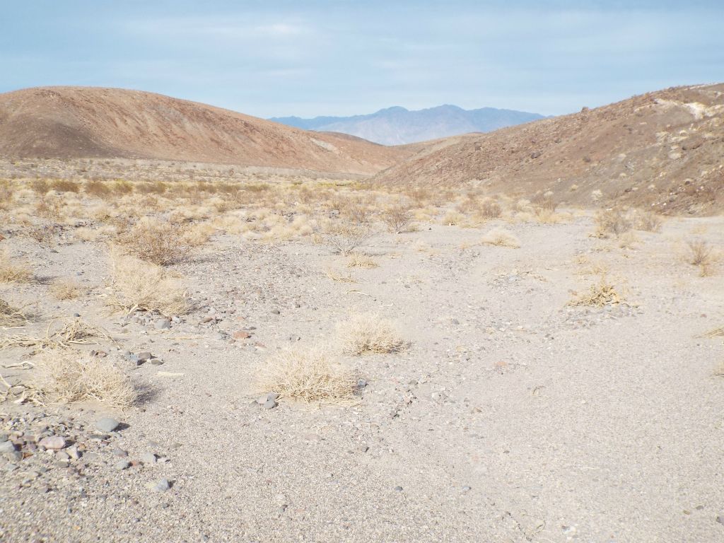 In some areas, Wingate Wash was so wide that we had trouble choosing a path: