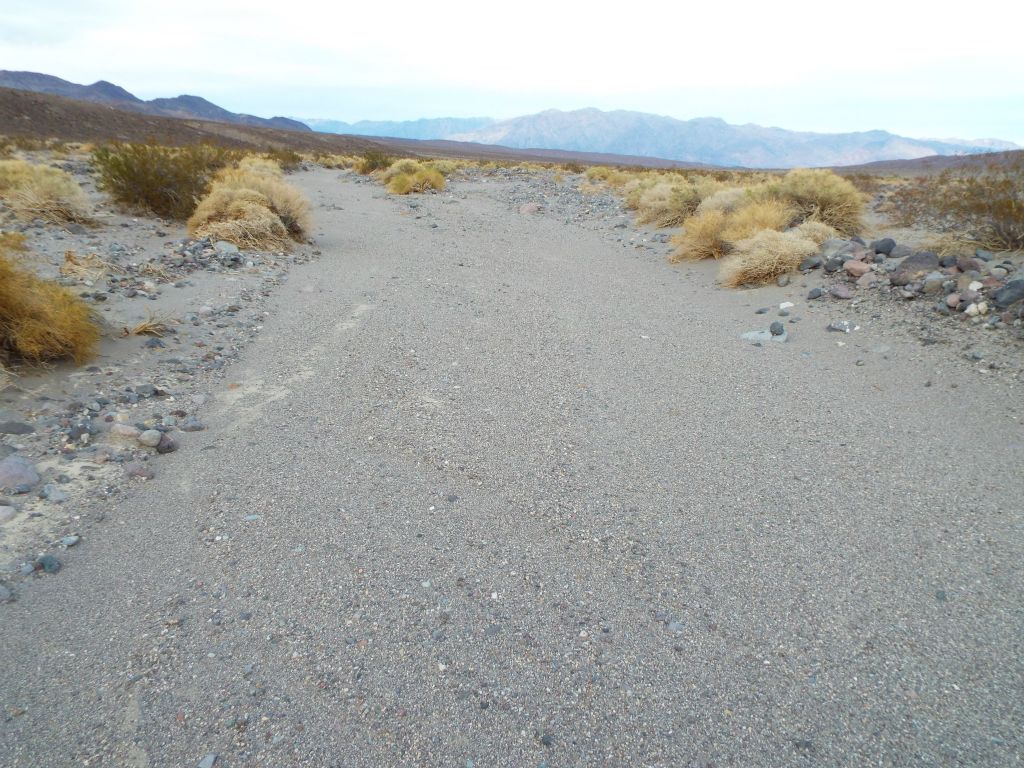 It's too bad that all Death Valley terrain can't be this comfortable to walk on:
