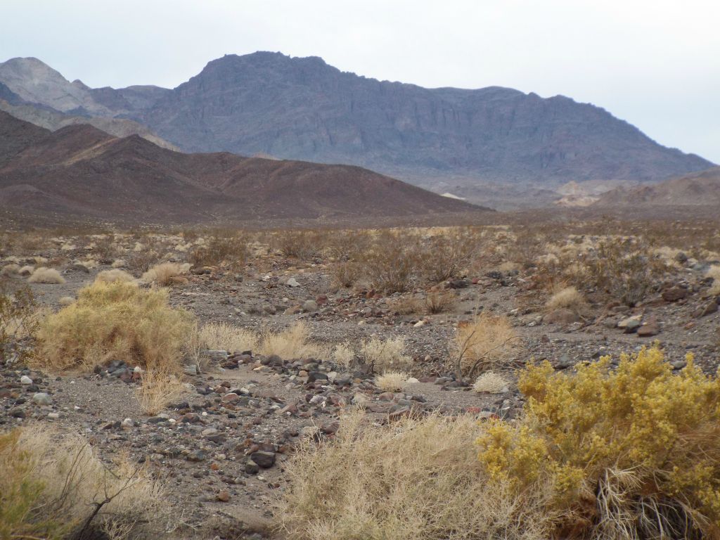 This shows the entire ridgeline of the front side of Sugarloaf Peak.  I have the feeling that Sugarloaf Peak would have been one of the most popular peak hikes in the park if a paved road had been built through Wingate Wash into the park.  But the through route was closed in 1943 by the navy: