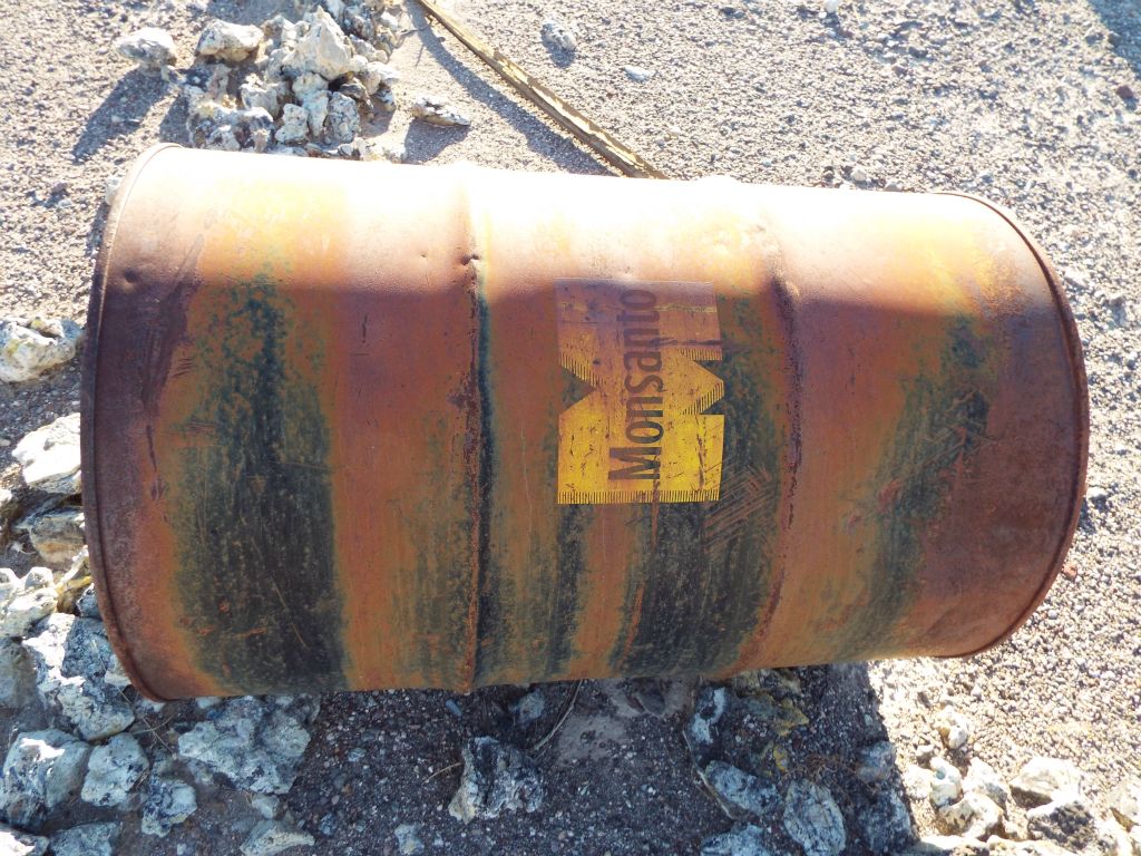 Several of these giant barrels were found resting on the ground: