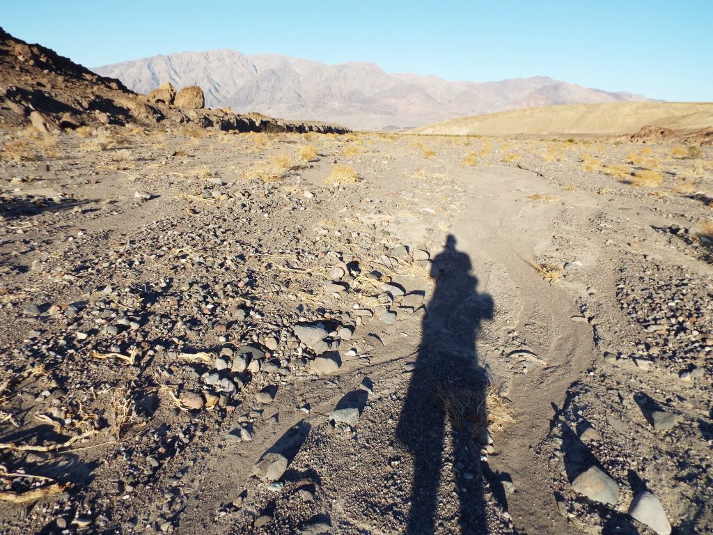 Notice the long shadow that I am casting.  One observation I had about our Wingate Wash hike was that we hiked in the best direction possible because the sun was almost always at our backs.  Had we hiked it  the other way, we would have been hiking into the sun all day: