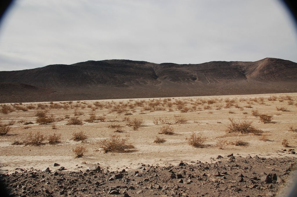 Looking straight across Wingate Dry Lake from our lunch spot: