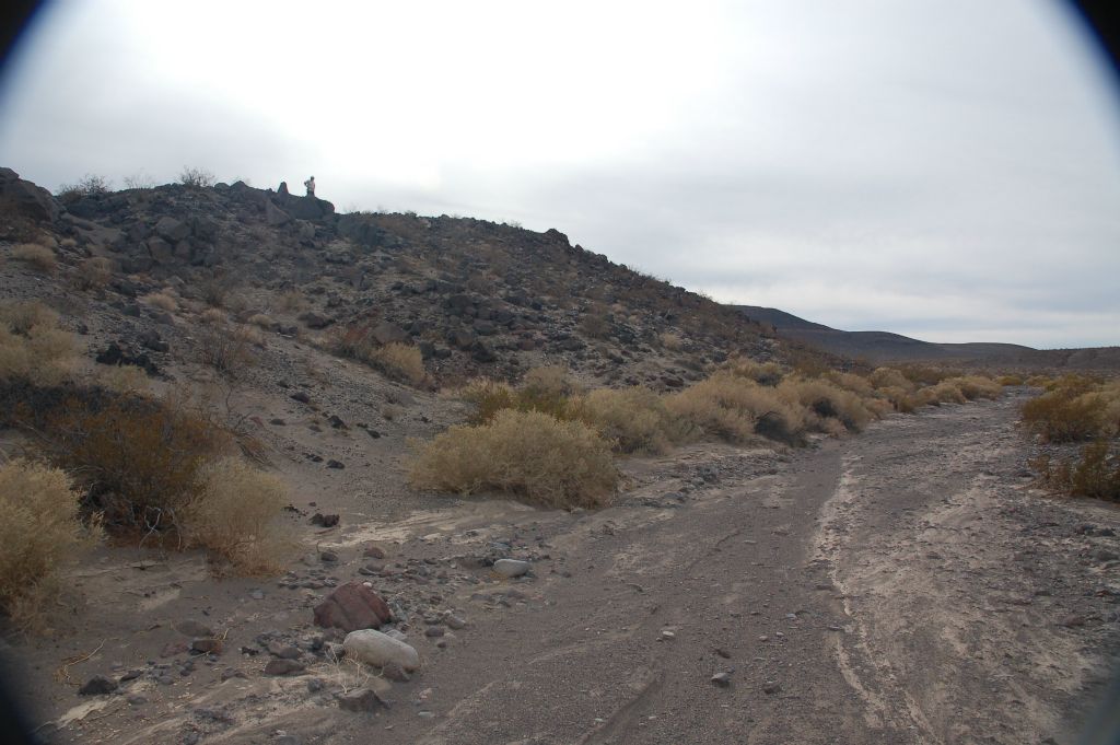 Looking back, Steve is visible up on the cliffs above the wash checking out some of the views: