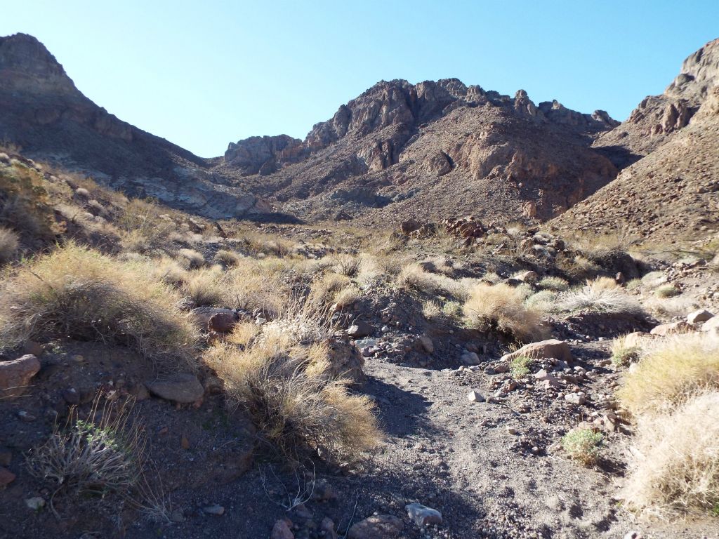 The Lost Spring Canyon 1SC area becomes more defined about halfway through the canyon.  Up ahead, there is a junction where we needed to stay to the left: