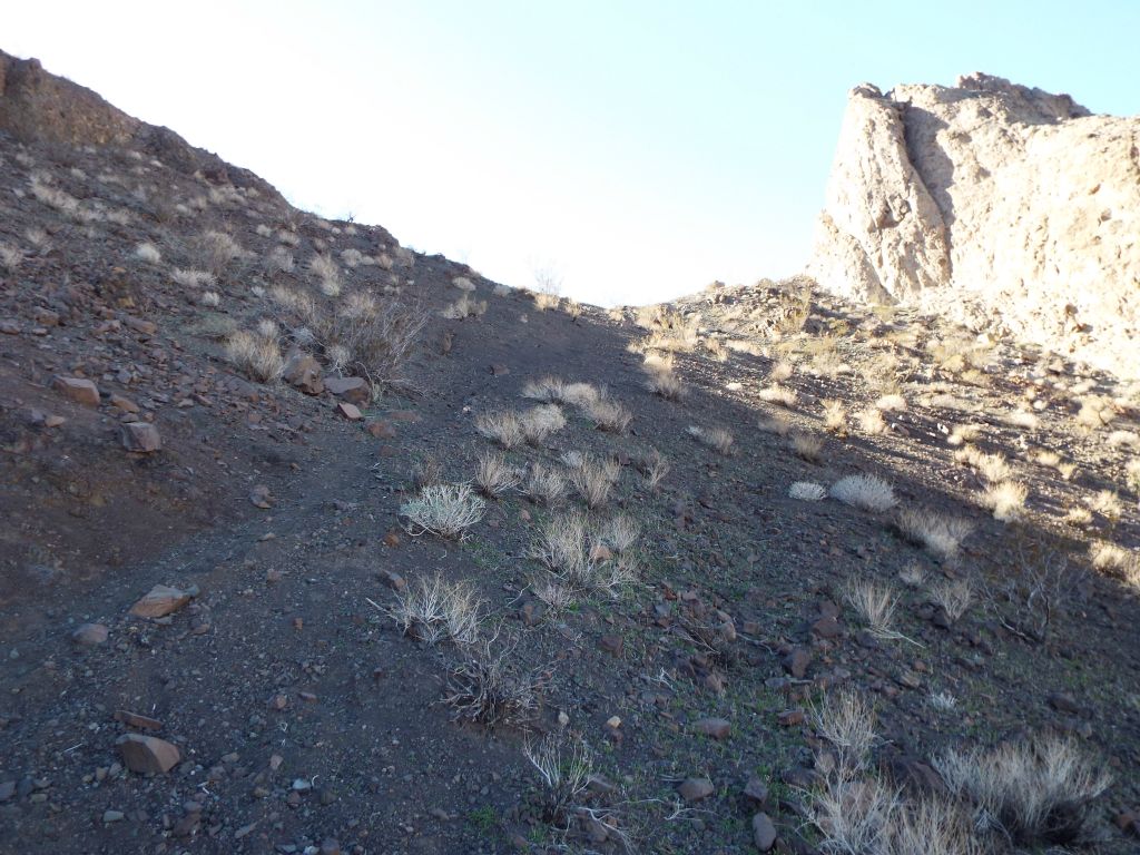 As we approached the pass, the burro trails became more defined.  If you look at this area on satellite imagery, you will notice there are burro trails everywhere: