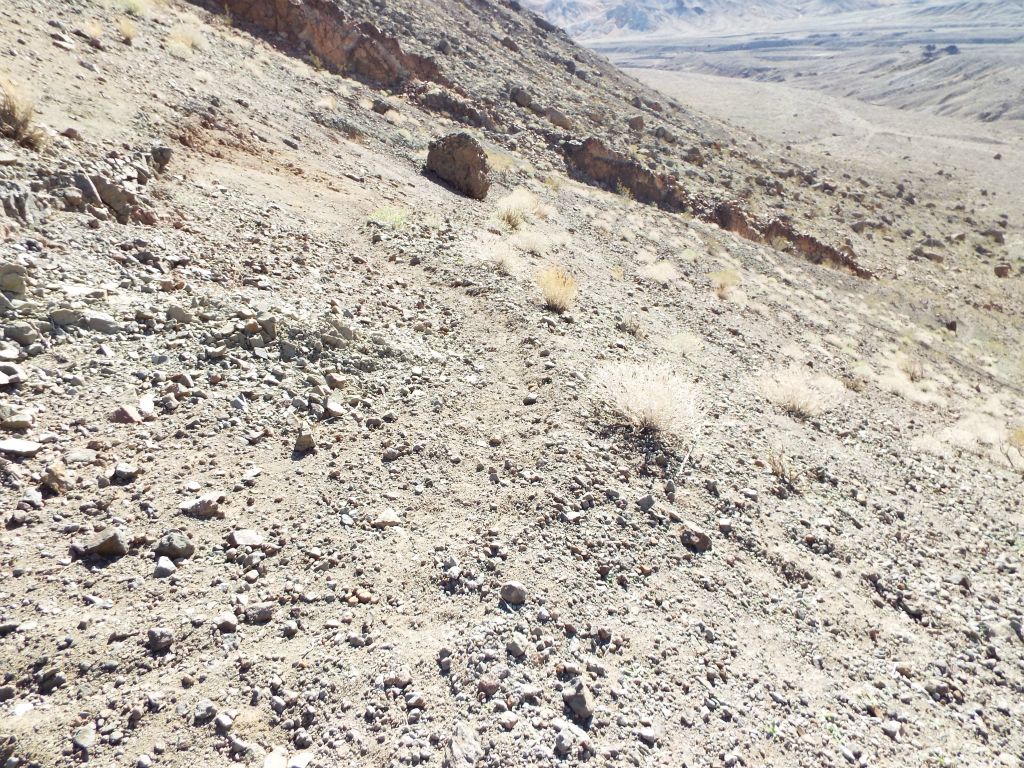 One benefit of having wild burros in the park is that they do create and maintain trails in some isolated locations of the Death Valley backcountry: