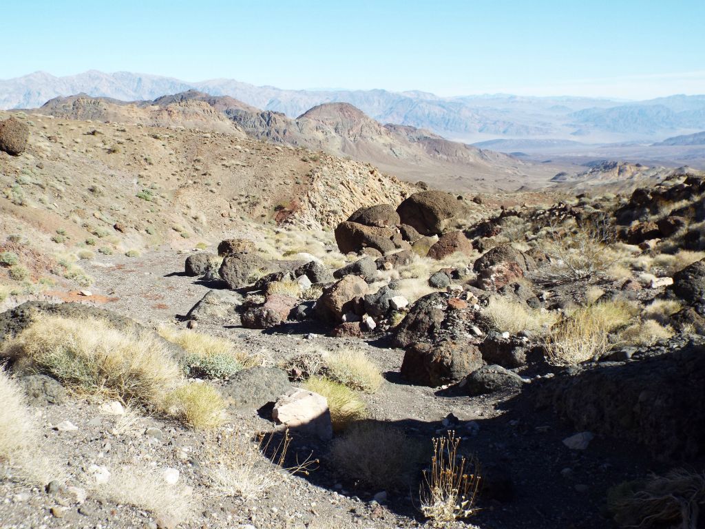 Looking back at the early part of the wash prior to entering the gorge: