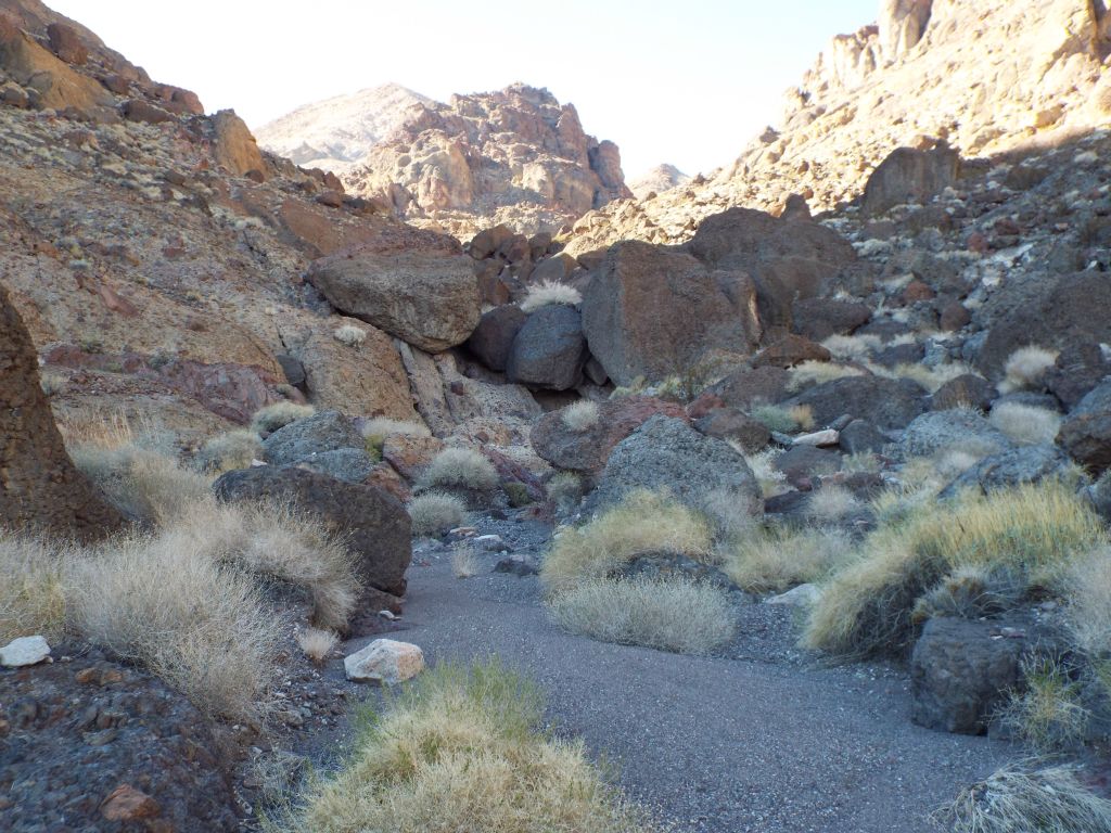 The gorge was fairly easygoing until we encountered the first obstacle of boulders: