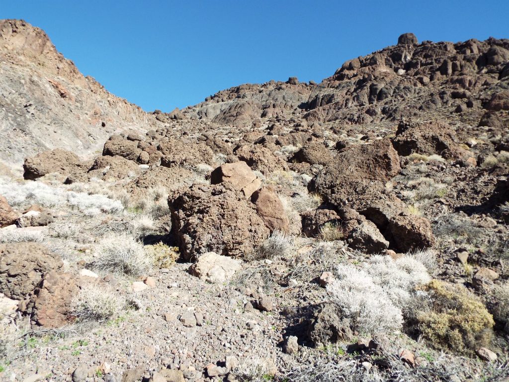 On the hillside, we dodged boulders and stayed generally close to the wash on the left:
