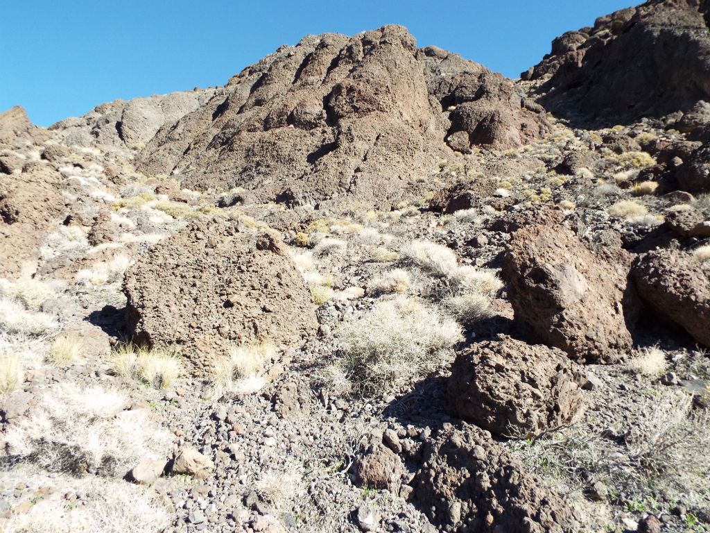 At this location, I spotted a small gully off to the right.  We decided to try to use this gully to reach the summit: