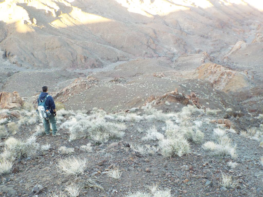 Jim surveying the area and looking for a decent route down into Lost Spring Canyon: