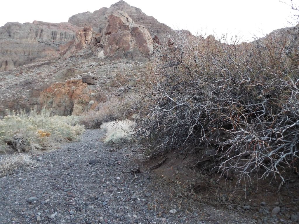 We finally got back down into Lost Spring Canyon, avoided the resident mountain lion, and made it safely back to our Jeep well after dark: