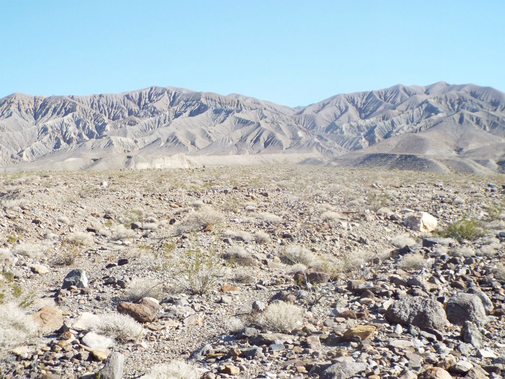 In the distance from this spot, we could see a large concentration of unusual plant growth: