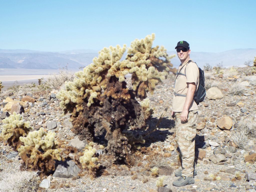 In comparing the great height of the larger chollas in the area, we realized many were 5-7 feet tall (and we would find some 8-9 feet tall the next day in a nearby area):