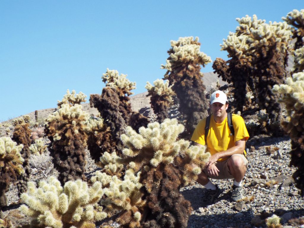 Two more pictures of Steve with the Teddy Bear Chollas: