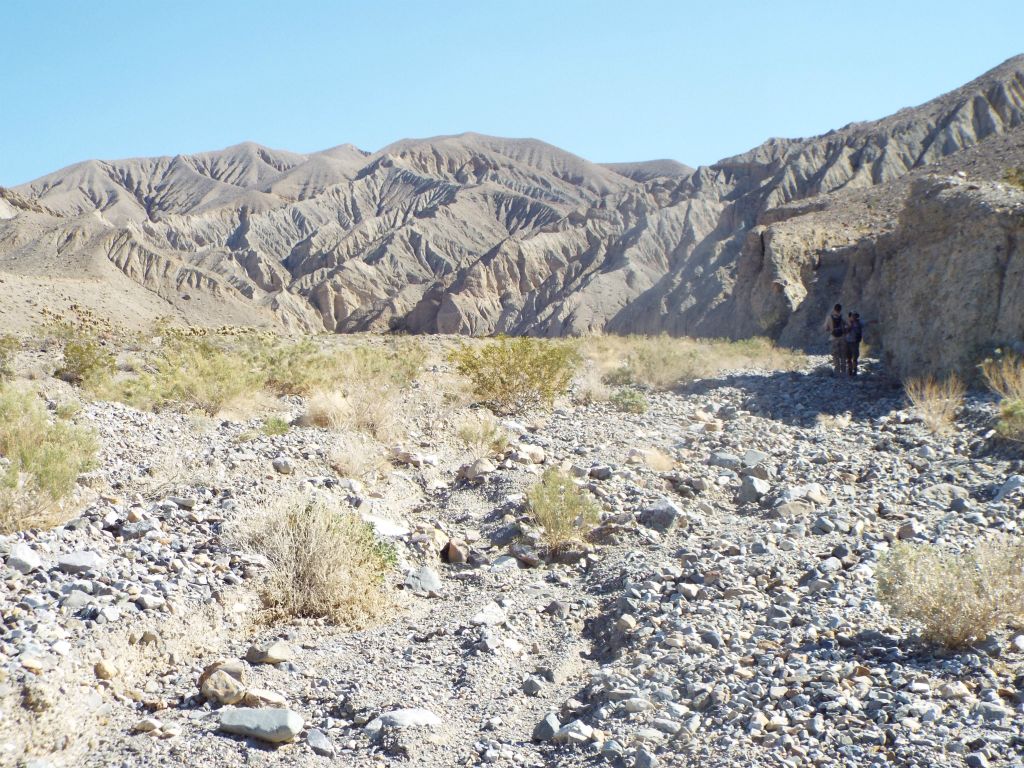 Once we had spent an hour documenting the Teddy Bear Chollas, we headed into the mouth of the canyon: