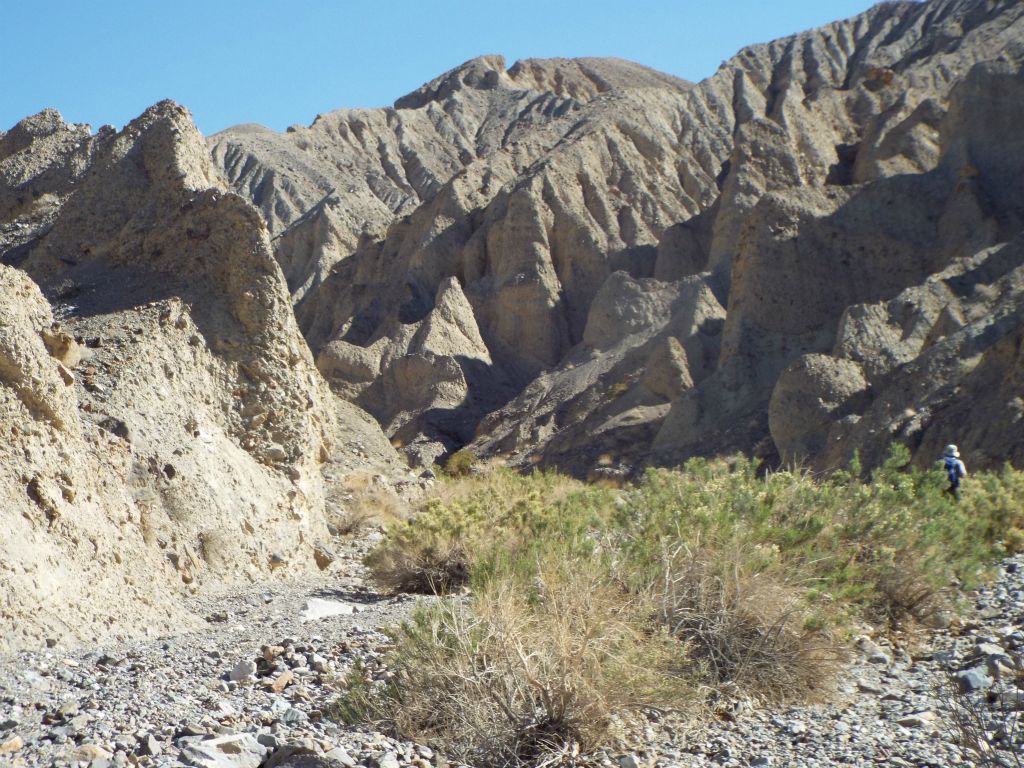 We took the left fork (north fork) first and continued hiking uphill: