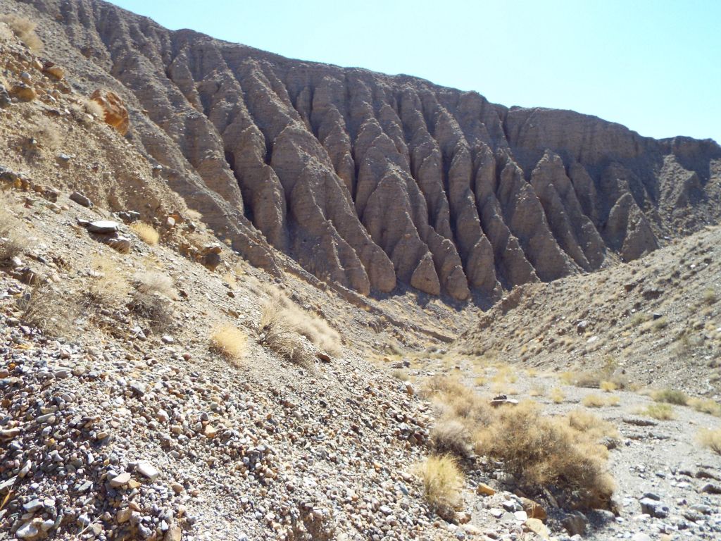 Looking back at the fluted cliffs while continuing up canyon: