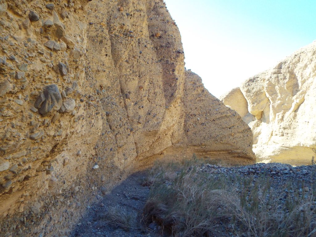 Without too much trouble, all of us found our way down into the wash of the south fork of Teddy Bear Canyon: