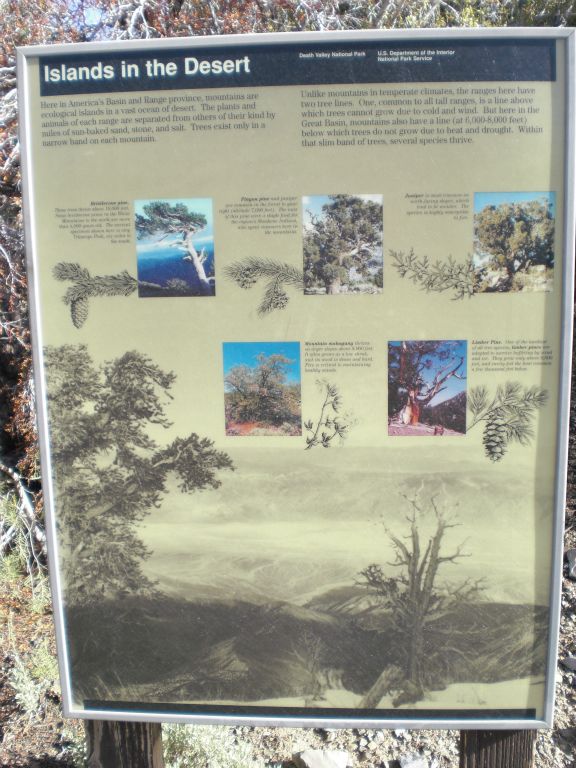 A very interesting interpretive sign regarding the trees: