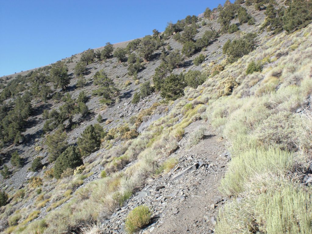 The trail begins winding its way around the east side of Rogers Peak: