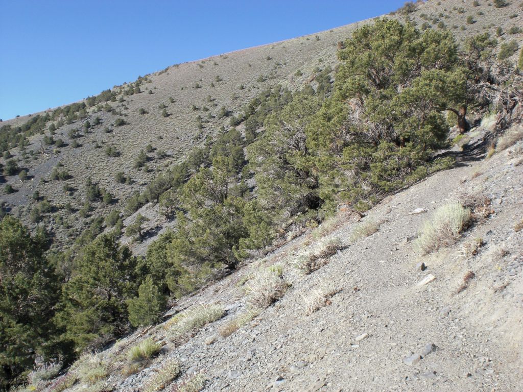 All the while, the trail is progressing steadily uphill: