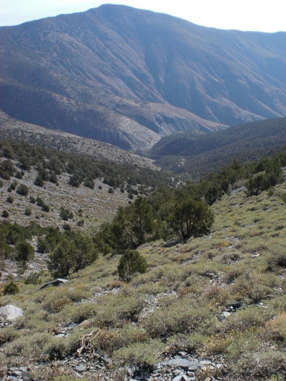 View of the Colville Ridge from along the trail:
