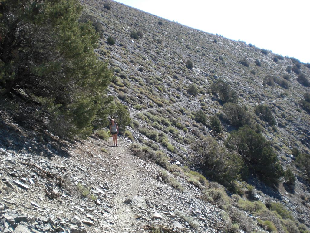 Tiffany hiking up the trail while on back-to-back major hikes in the park:
