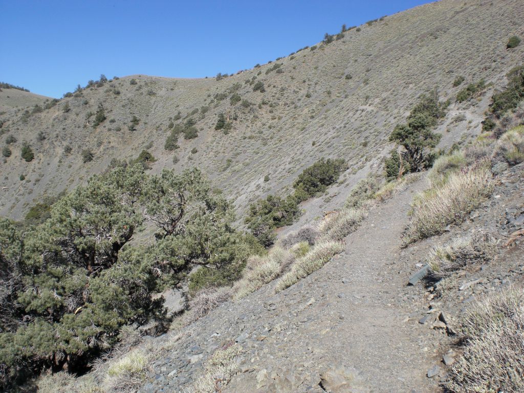 Just above the saddle in the distance is Arcane Meadows.  We were now close to finishing the first section of the hike: