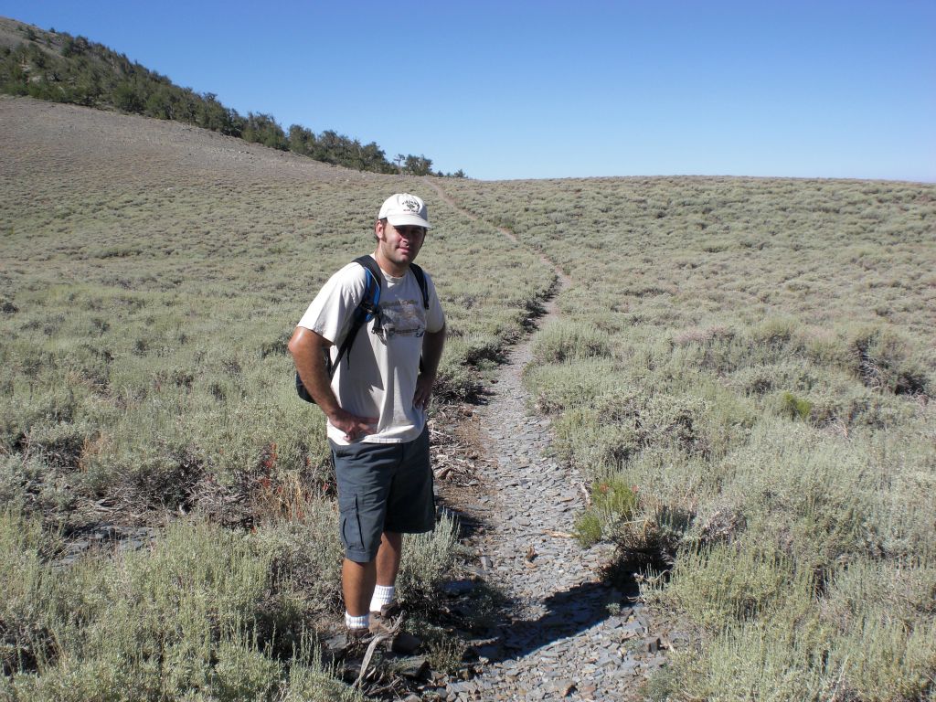 Arcane Meadows provides a nice break in between steep sections of elevation gain with a nice path through the grasslands: