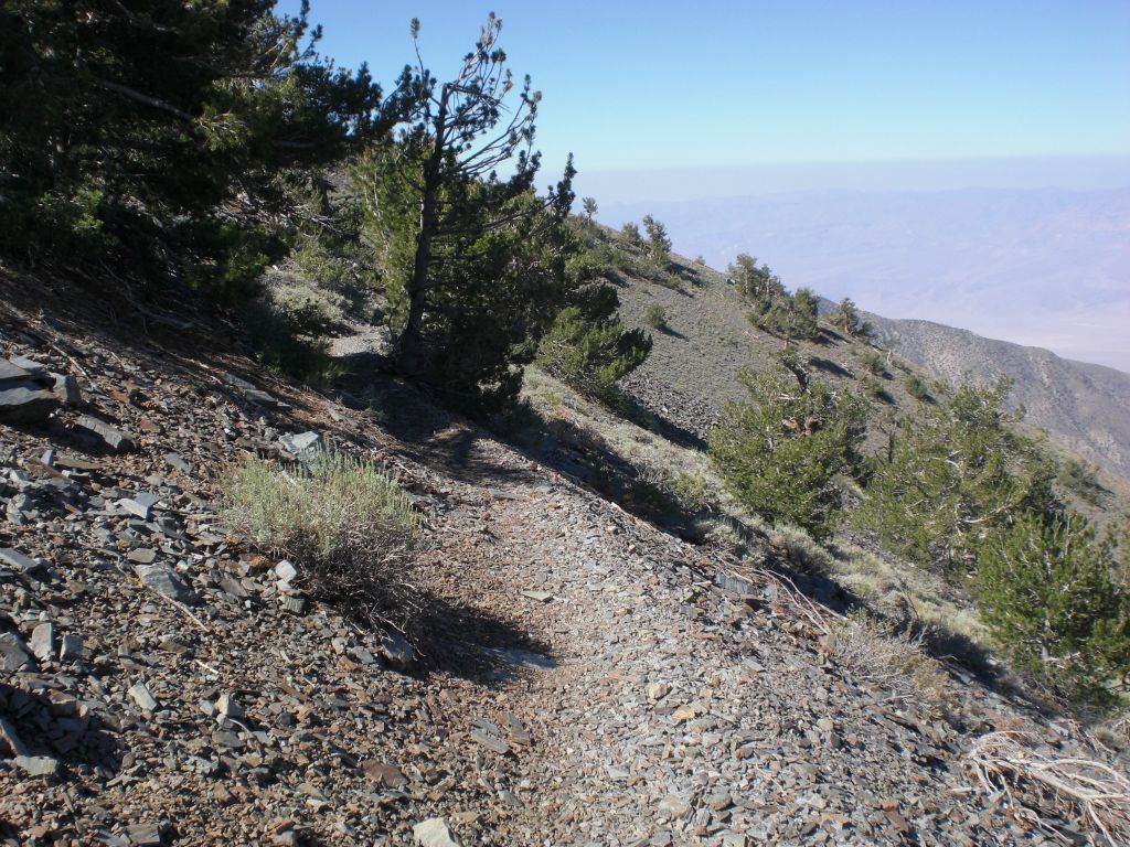 Portions of grasslands are broken up as you hike around the base of Bennett Peak: